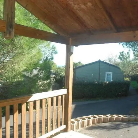 Two-bedroom Chalet In Located In The Heart Of A Pine Forest 186 Chalet